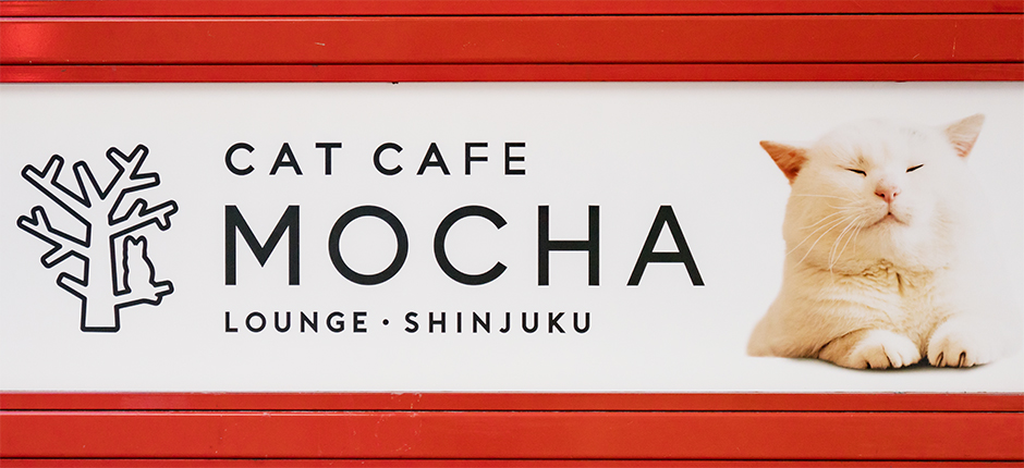 猫カフェ Mocha モカ ラウンジ新宿店